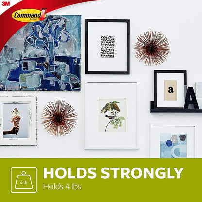 Command Large Frame Hanger, 5 lb Capacity