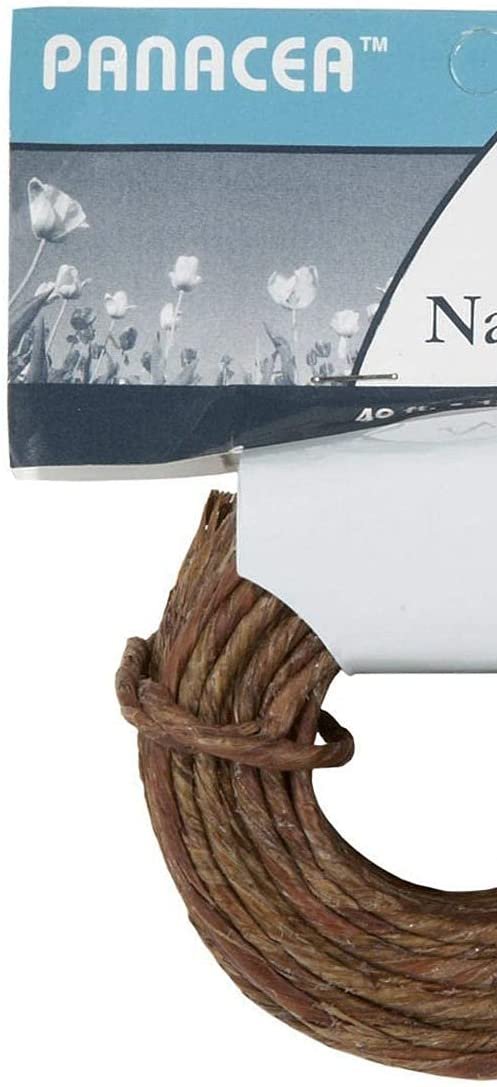 Darice Naturally Wrapped Vine Covered Craft Wire Rope with Rustic Feel for Wedding Crowns Woodland Crowns Head Wreaths Floral Arranging DIY Projects and Decorating 40 feet Brown