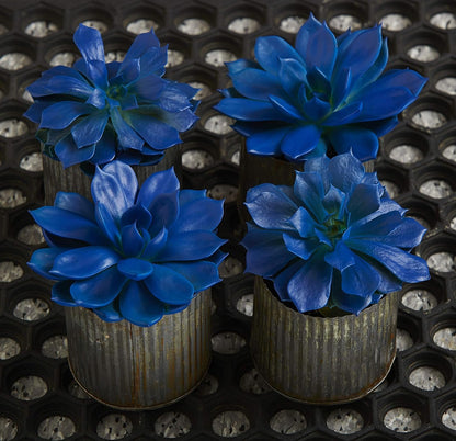 Design Master 686 Blue Marlin Colortool Spray