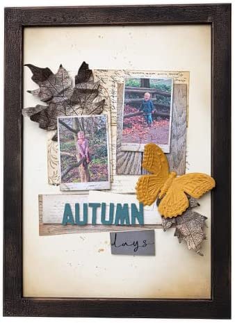 Sizzix Thinlits Die 665201 Perspective Butterfly by Tim Holtz, Multicolor