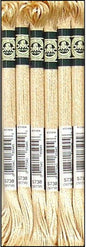 DMC 1008F-S738 Shiny Radiant Satin Floss, Golden Fawn, 8.7-Yard