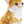 Load image into Gallery viewer, Wild Republic Fennec Fox Plush, Stuffed Animal, Plush Toy, Gifts for Kids, Cuddlekins, 12 Inches
