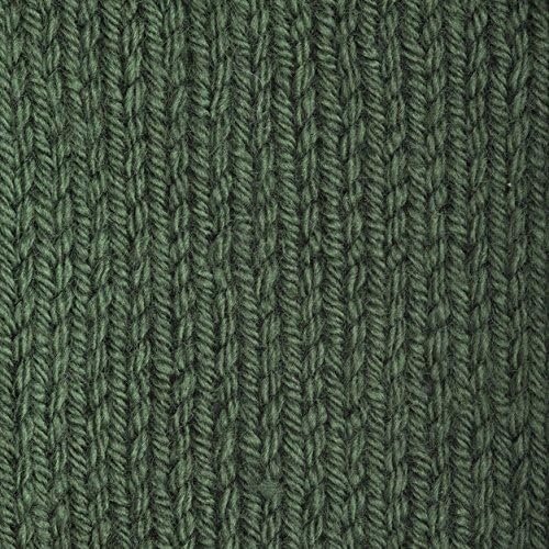 Patons Canadiana Yarn, Dark Green Tea