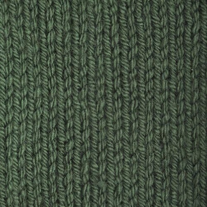 Patons Canadiana Yarn, Dark Green Tea