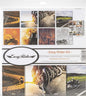Reminisce (REMBC) Easy Rider Scrapbook Collection Kit, Multi Color Palette, 12x12 inches