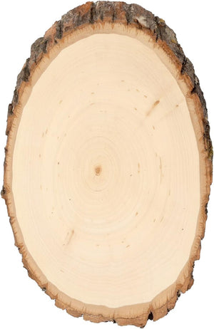 Walnut Hollow Basswood Round Small with Live Edge Wood - for Wood Burning, Home Décor, and Rustic Weddings