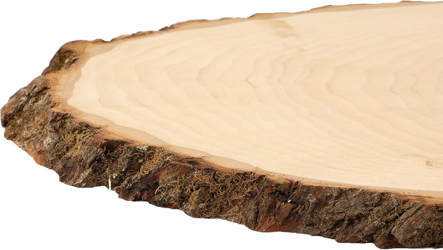 Walnut Hollow Basswood Round Large with Live Edge Wood - for Wood Burning, Home Décor, and Rustic Weddings