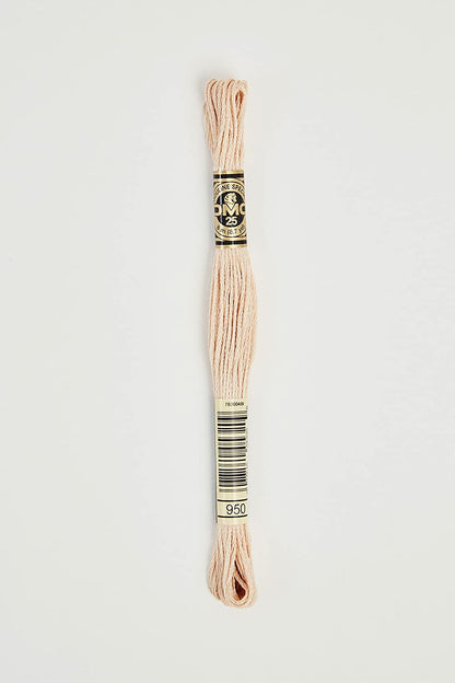 Dmc 6-Strand Embroidery Cotton 8.7yd-Black