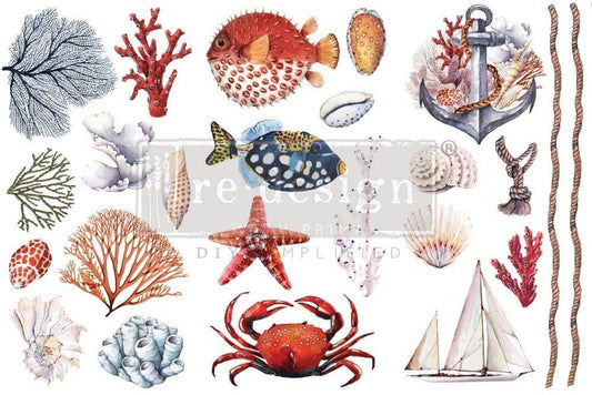 Re-Design TRANSFERS 6X12 3/PKG, Amazing Sea Life