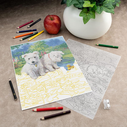 Royal and Langnickel Colour by Number Pencil