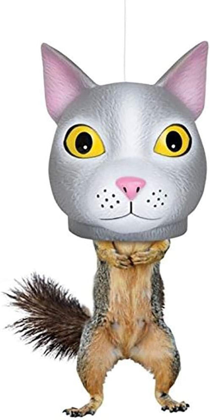Mcphee Accoutrements Hilarious Hanging Hollow Cat Head Squirrel Feeder