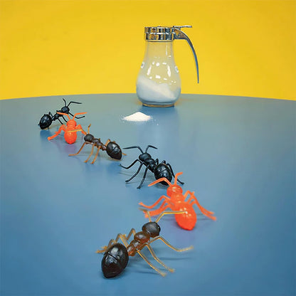 Mcphee Accoutrements Archie Funny Gift Box of Novelty Ants (6 Pack)