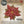 Load image into Gallery viewer, Sizzix Bigz Die 658261, Tattered Poinsettia by Tim Holtz, Multi Color, One Size

