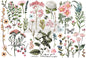 Botanical Paradise Rub on Transfer 3 Sheets 6" x 12"