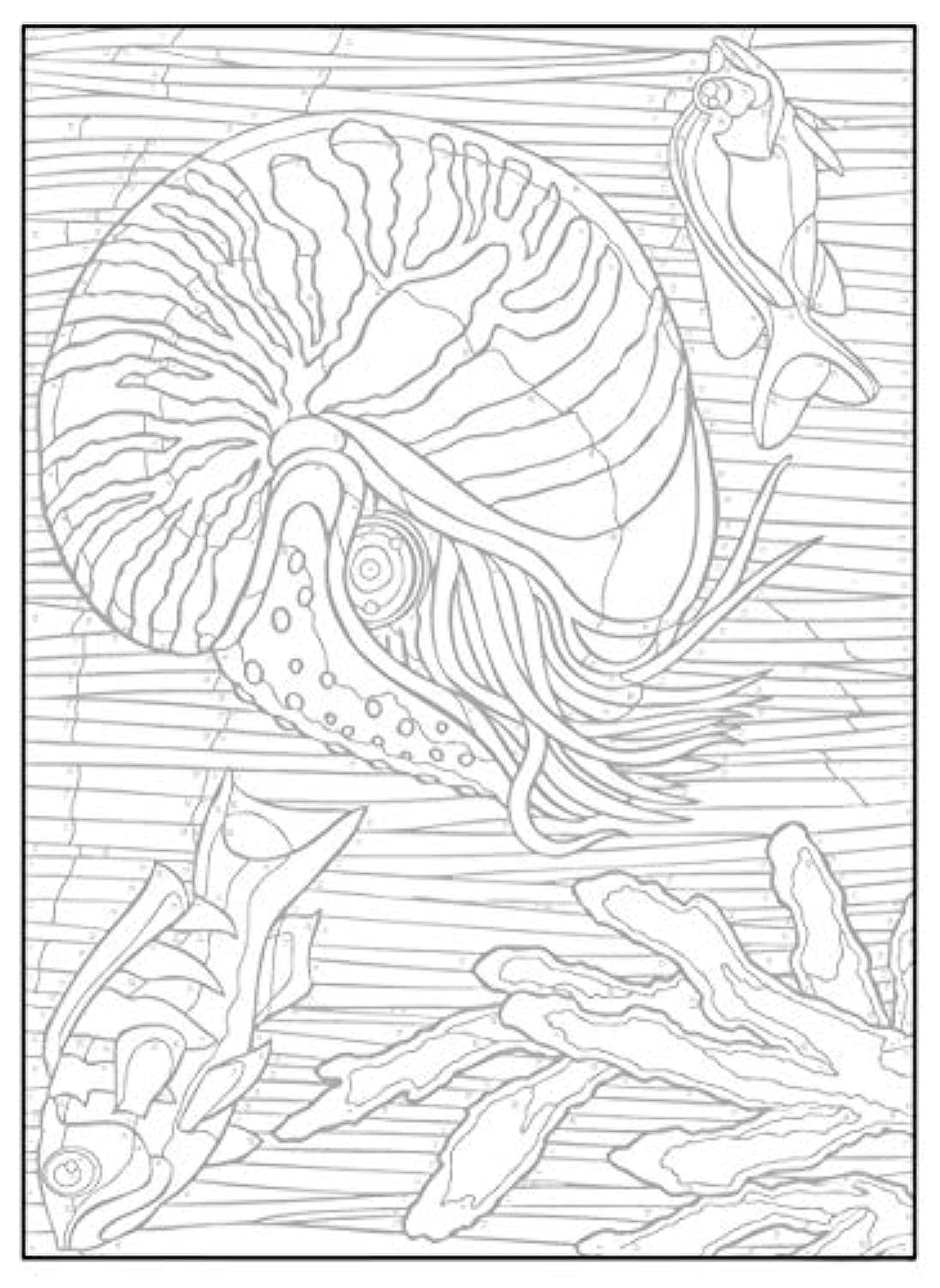 Creative Haven Sea Life Color by Number Coloring Book (Adult Coloring Books: Sea Life)