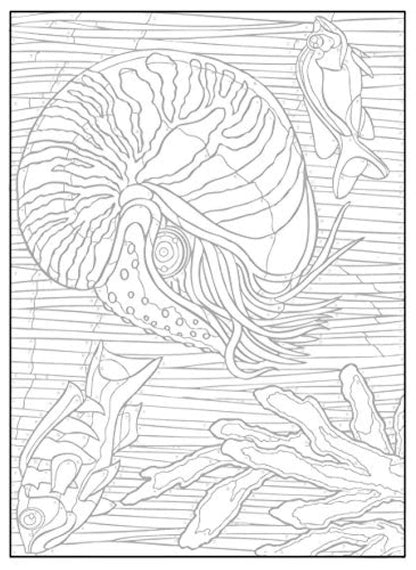 Creative Haven Sea Life Color by Number Coloring Book (Adult Coloring Books: Sea Life)