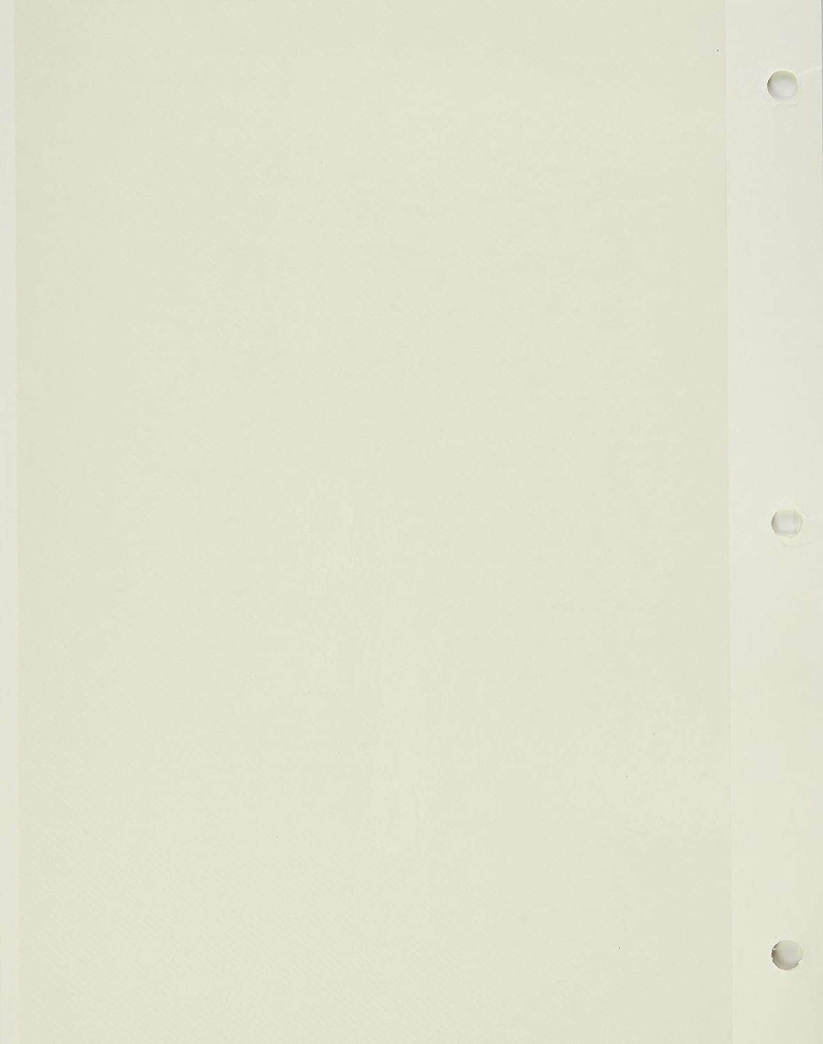 Refill Pages for LM-100, LM-100D and LM-100W Photo Albums, 10 Pages (5 Sheets)