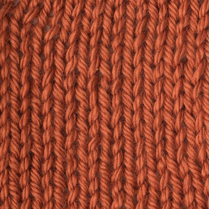 Caron Simply Soft Solids Yarn, 6oz, Gauge 4 Medium, 100% acrylic - Pumpkin - Machine Wash & Dry