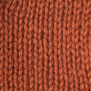 Caron Simply Soft Solids Yarn, 6oz, Gauge 4 Medium, 100% acrylic - Pumpkin - Machine Wash & Dry