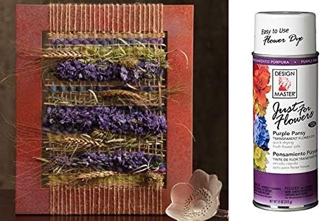 Design Master Just for Flowers Spray Dye, 11 oz, Purple