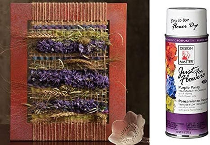 Design Master Just for Flowers Spray Dye, 11 oz, Purple