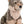 Load image into Gallery viewer, Wild Republic Wolf Plush, Stuffed Animal, Plush Toy, Gifts for Kids, Cuddlekins 12 Inches
