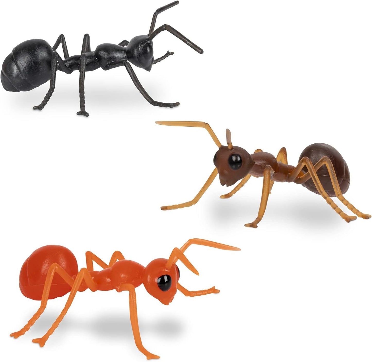 Mcphee Accoutrements Archie Funny Gift Box of Novelty Ants (6 Pack)