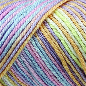 Caron Simply Soft Paints Yarn (4) Medium Worsted Gauge 100% Acrylic - 5 oz - Paints Rose Garden - Machine Wash & Dry