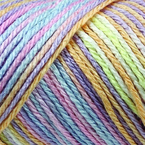 Caron Simply Soft Paints Yarn (4) Medium Worsted Gauge 100% Acrylic - 5 oz - Paints Rose Garden - Machine Wash & Dry