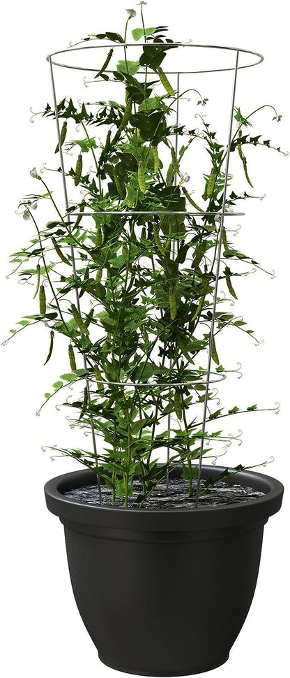 Panacea Products 89723 Tomato and Plant Support Cage,Galvanized, Pack of 10
