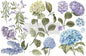 Mystic Hydrangea Rub on Transfer 3 Sheets 6" x 12"