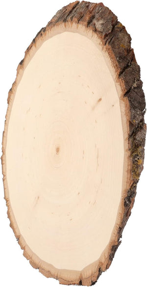 Walnut Hollow Basswood Round Small with Live Edge Wood - for Wood Burning, Home Décor, and Rustic Weddings