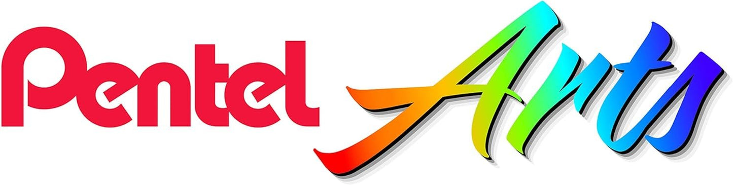 Pentel Arts Aquash Water Brush, Small Brush, Fine Point Tip, 1 Pack (FRHFBP)