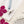 Load image into Gallery viewer, Cricut TrueControl Knife Replacement Blades - 5 Pack
