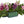 Load image into Gallery viewer, FloraCraft Floral Cage Arranger with Floral WetFōM 3.3 Inch x 5 Inch x 7.5 Inch Green
