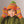 Load image into Gallery viewer, Patons Canadiana Yarn, Cherished Green
