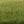 Load image into Gallery viewer, Woodland Scenics Static Grass 4mm-Medium Green -FS618
