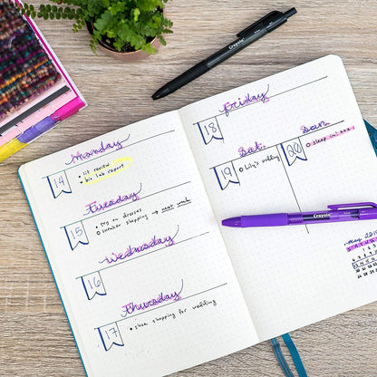 Crayola Colored Gel Pens