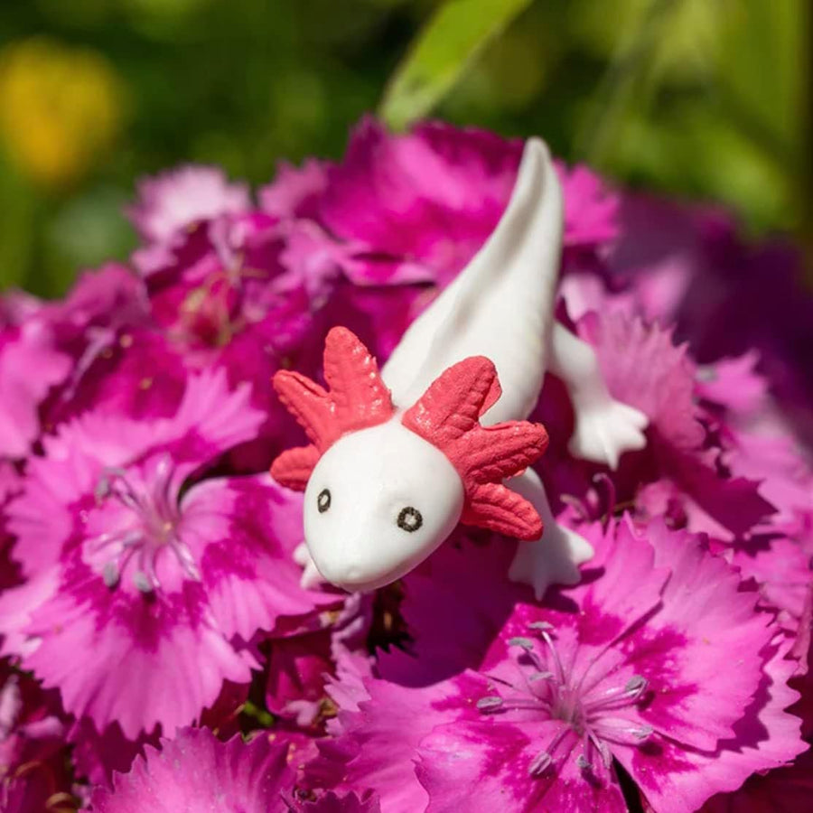 Accoutrements Archie McPhee Itty Bitty Axolotls 8 Pack