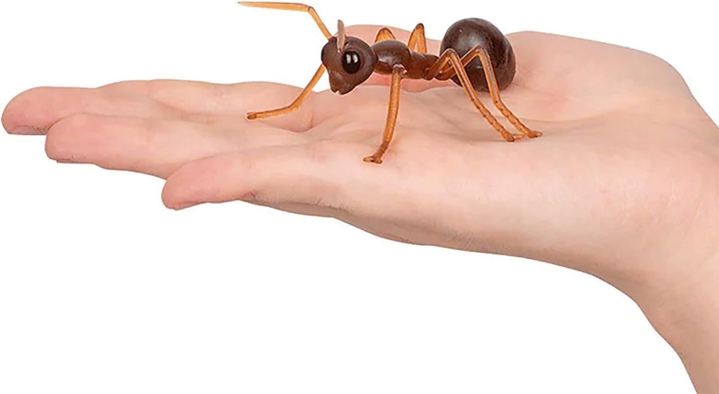 Mcphee Accoutrements Archie Funny Gift Box of Novelty Ants (6 Pack)