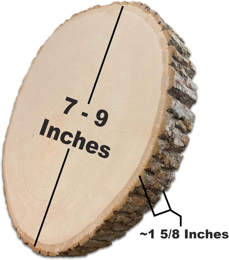 Wilson Basswood Round Thick (Medium (7-9 inch Wide x 1 5/8 inch Thick))