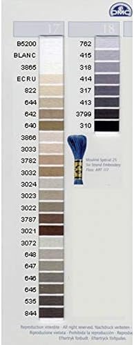 Dmc 6-Strand Embroidery Cotton 8.7yd-Medium Topaz