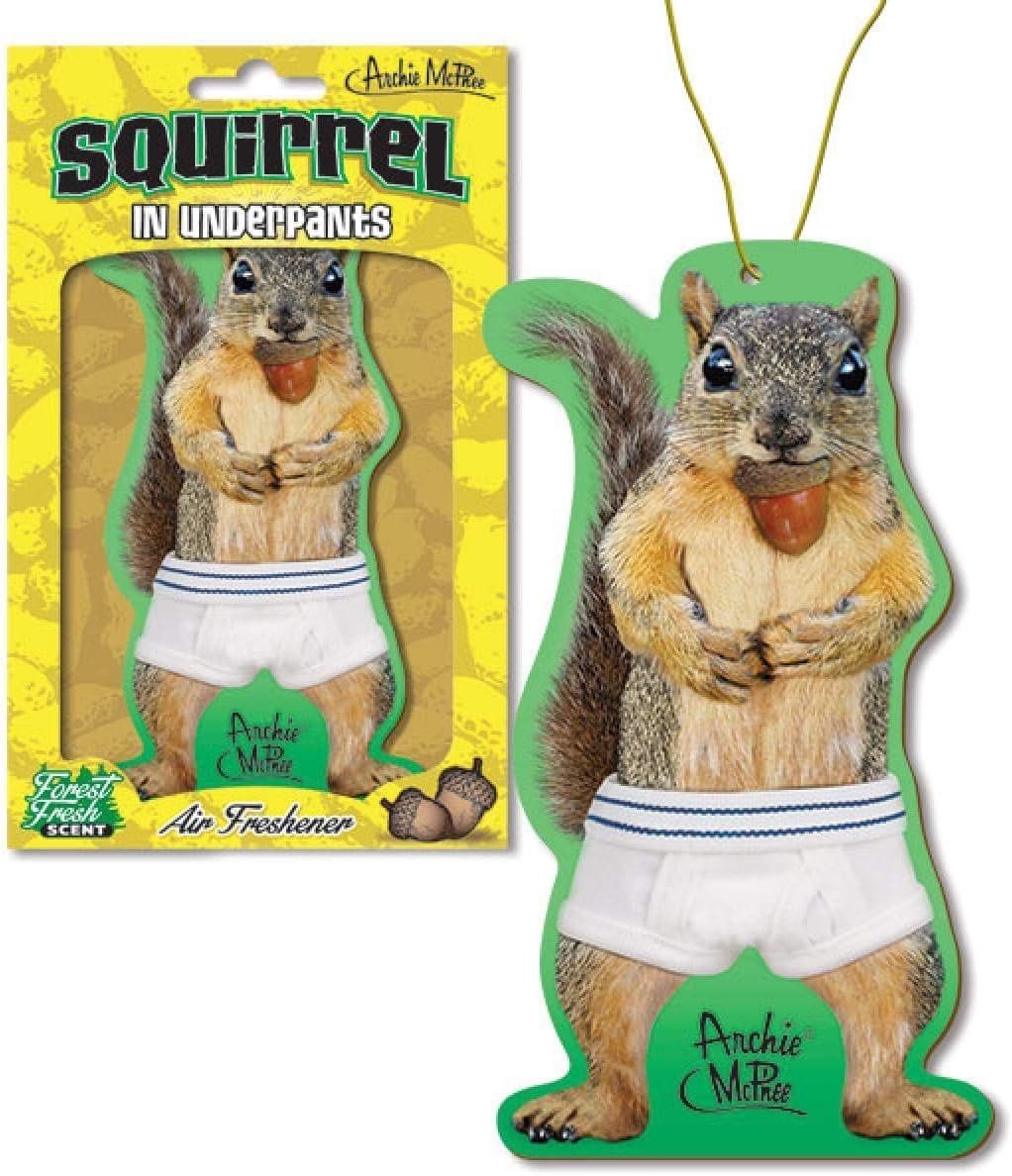 Mcphee Squirrel Standing in Underwear Funny Air Freshener