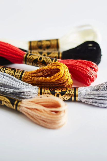 Dmc 6-Strand Embroidery Cotton 8.7yd-Black