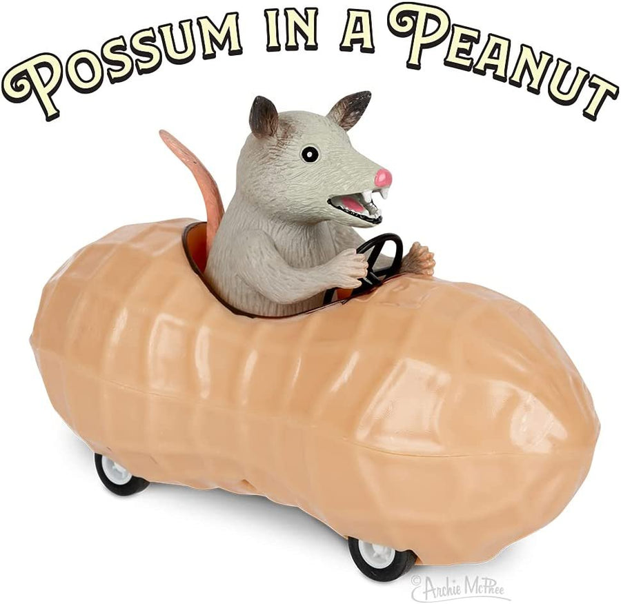 Mcphee Archie Possum in a Peanut Pull Back Toy Car (12967)