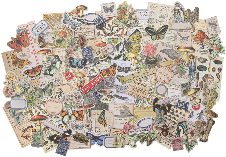 Tim Holtz - Advantus Ephemera Snippets ID Fieldnotes, us:one size, Field Notes