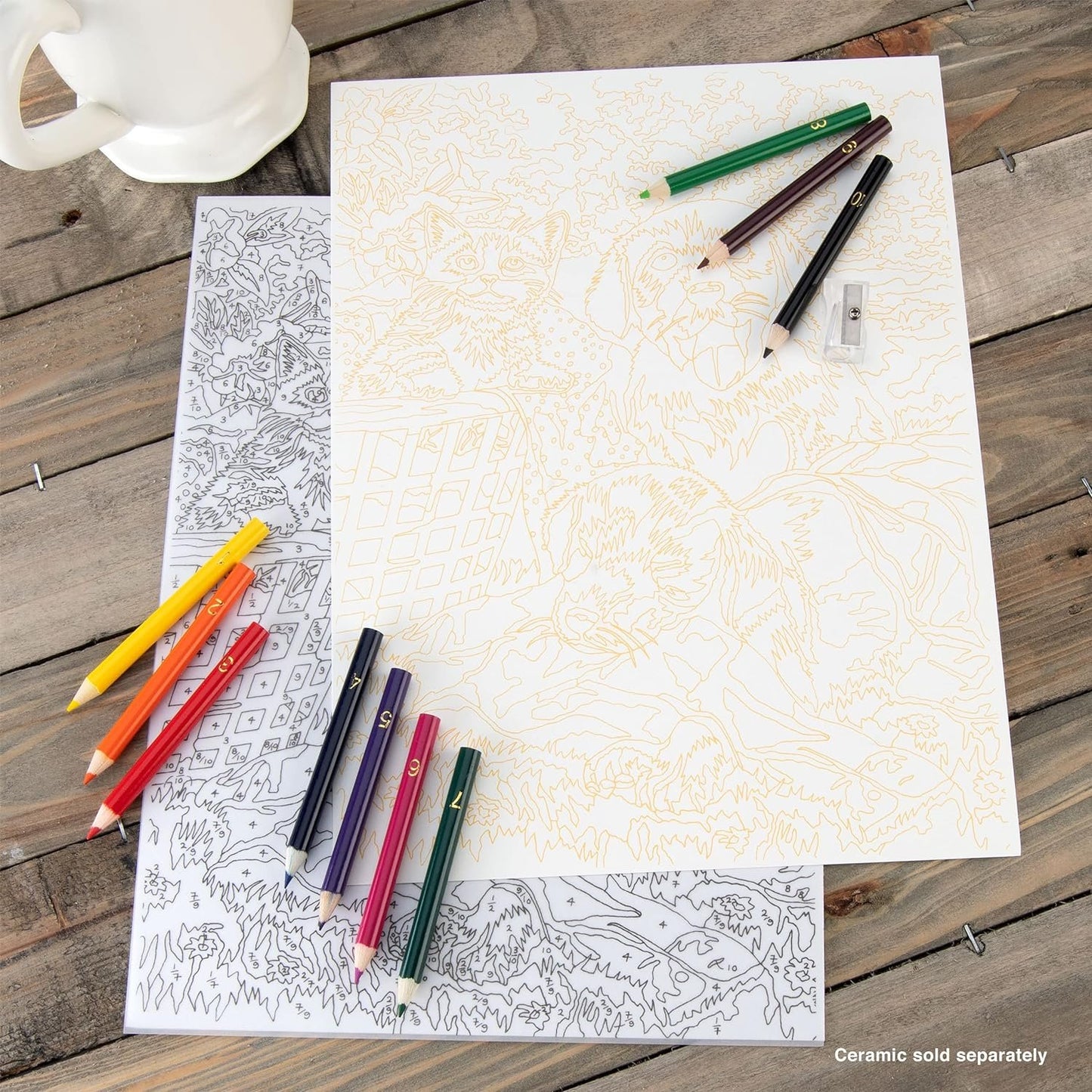 Royal and Langnickel Colour by Number Pencil