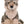 Load image into Gallery viewer, Wild Republic Wolf Plush, Stuffed Animal, Plush Toy, Gifts for Kids, Cuddlekins 12 Inches
