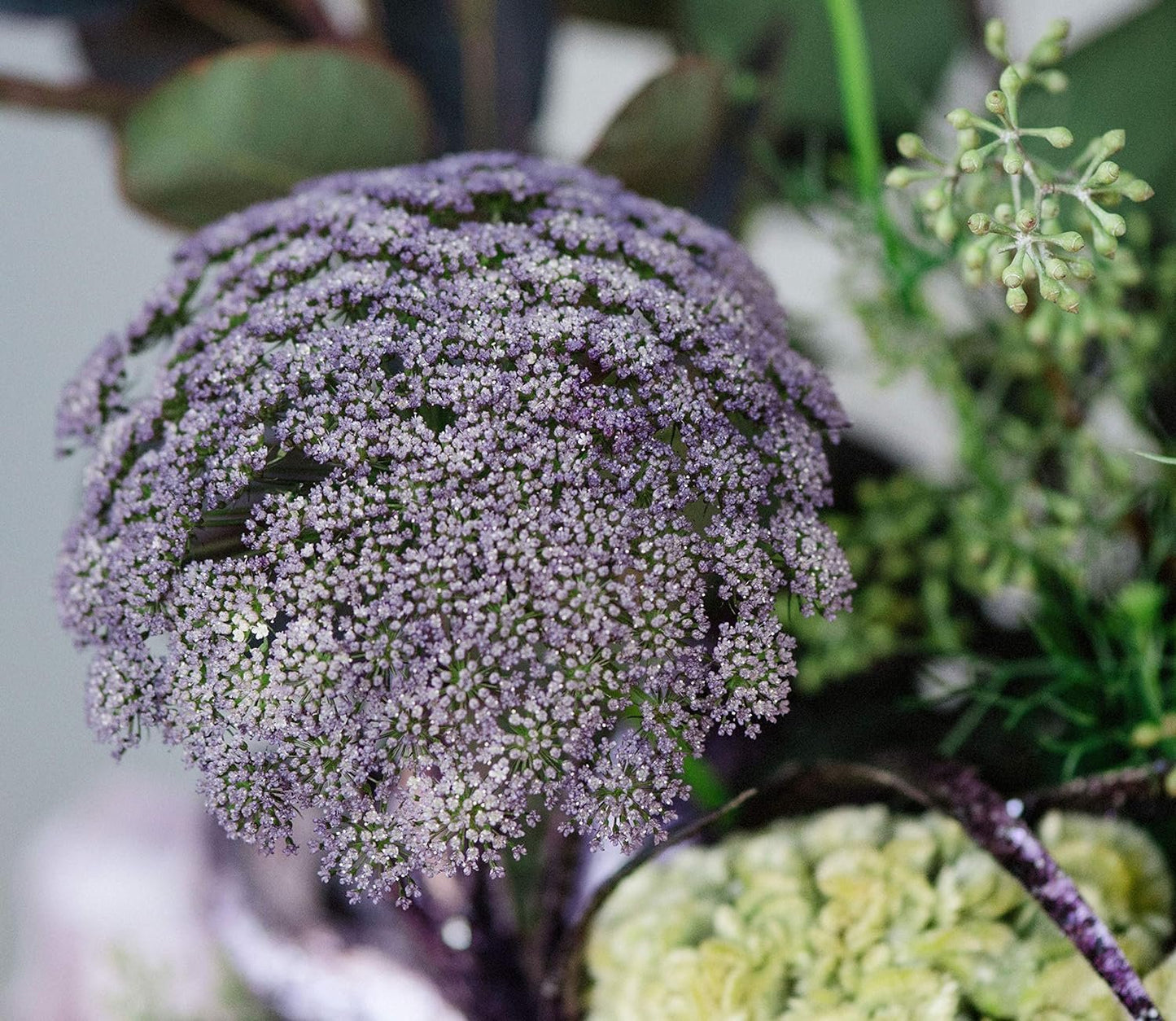 Design Master Just for Flowers Spray Dye, 11 oz, Purple