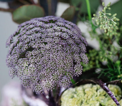 Design Master Just for Flowers Spray Dye, 11 oz, Purple